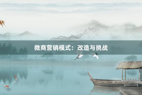 微商营销模式：改造与挑战